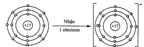 BÀI 10. QUY TẮC OCTET