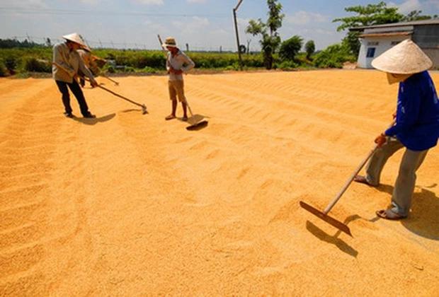 BÀI 11: NĂNG LƯỢNG MẶT TRỜI, GIÓ VÀ NƯỚC CHẢY