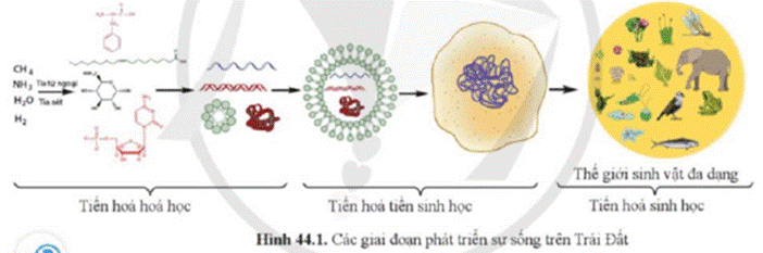 BÀI 44. SỰ PHÁT SINH VÀ PHÁT TRIỂN CỦA SỰ SỐNG TRÊN TRÁI ĐẤT