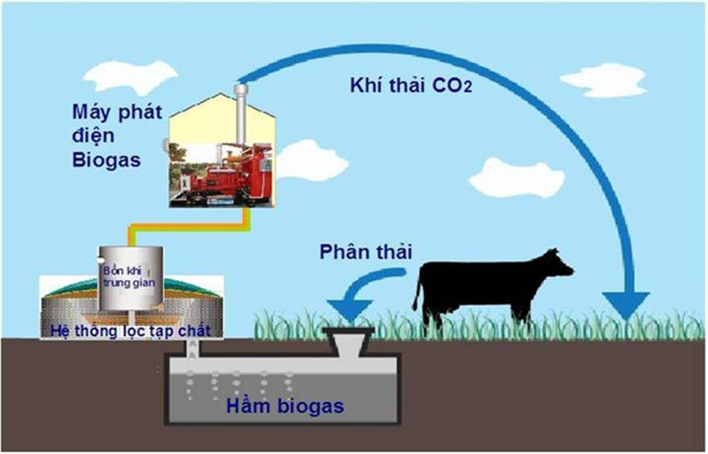 BÀI 10: NĂNG LƯỢNG CHẤT ĐỐT