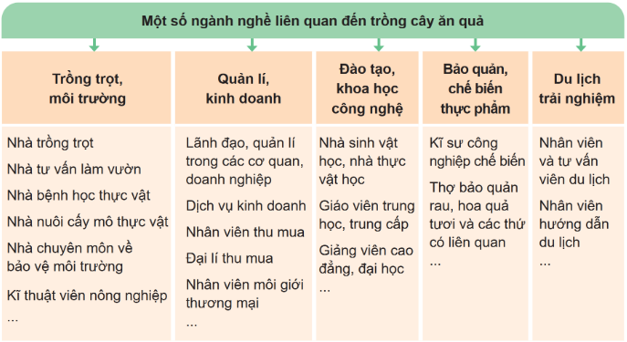 BÀI 12. MỘT SỐ NGÀNH NGHỀ LIÊN QUAN ĐẾN TRỒNG CÂY ĂN QUẢHOẠT ĐỘNG KHỞI ĐỘNGGV yêu cầu HS thảo luận và trả lời câu hỏi:Quan sát Hình 12.1 và cho biết nghề trồng cây ăn quả bao gồm những công việc gì? Kể tên những công việc khác liên quan đến trồng cây ăn quả mà em biết.HOẠT ĐỘNG HÌNH THÀNH KIẾN THỨCHoạt động 1: Một số ngành nghề liên quan đến trồng cây ăn quảGV đặt câu hỏi hướng dẫn học sinh tìm hiểu: Em hãy kể tên một số ngành nghề liên quan đến trồng cây ăn quả.Dự kiến sản phẩm:Hoạt động 2: Yêu cầu đối với người lao động thuộc ngành nghề liên quan đến trồng cây ăn quảGV đưa ra câu hỏi: Để làm được những công việc liên quan đến trồng cây ăn quả, người lao động cần đáp ứng các yêu cầu nào?Dự kiến sản phẩm:Để làm được những công việc liên quan đến trồng cây ăn quả, người lao động cần đáp ứng các yêu cầu sau: Về kiến thức chuyên môn: Có hiểu biết cơ bản về đặc điểm cây ăn quảPhương pháp chọn, nhân giống, lai giống cây ăn quảĐặc điểm, tính chất của một số loại đất trồng cây ăn quảĐặc điểm của các loại phân bón và phương pháp bón phân cho câyPhương pháp phòng trừ dịch hại cho câyPhương pháp bảo quản, chế biến quảThị trường sản phẩm cây ăn quảVề kĩ năng: Có kĩ năng chuyên môn như làm đất, bón phân, trồng, chăm sóc cây ăn quảThu hoạch quả, bảo quản và chế biến quảChế biến và phòng trừ các loại sâu, bệnh hại cây ăn quảCó khả năng quan sát, theo dõi sự sinh trưởng và phát triển của câyVề thái độ: Yêu nghề, yêu thiên nhiên, có tinh thần trách nhiệmLàm việc khoa học, cần cù, chịu khó, ham học hỏiCó ý thức đảm bảo an toàn lao động và bảo vệ môi trường trồng trọtVề sức khỏe:Có đủ sức khỏe để đáp ứng yêu cầu công việcCó đôi mắt tinh tường, bàn tay khéo léo để thực hiện các công việc liên quan đến trồng cây ăn quả……………………………………..HOẠT ĐỘNG LUYỆN TẬPTừ nội dung bài học, GV yêu cầu HS hoàn thành các bài tập trắc nghiệm sau:Câu 1: Hoạt động của nhà trồng trọt trong trồng cây ăn quả làA. đánh giá đặc điểm của cây ăn quả phù hợp với điều kiện khí hậu, đất đai. B. tạo dáng cây ăn quả bonsai; cải tạo cảnh quan, môi trường sinh thái trong vườn, trang trại trồng cây ăn quả.C. tư vấn hoạch định các chính sách liên quan đến trồng cây ăn quả.D. tính toán, thiết kế và tạo dựng cảnh quan vườn, trang trại trồng cây ăn quả.Câu 2: Nhà tư vấn làm vườn trong trồng cây ăn quả có nhiệm vụ gì?A. Tạo dáng cây ăn quả bonsai; cải tạo cảnh quan, môi trường sinh thái trong vườn, trang trại trồng cây ăn quả.B. Trồng và chăm sóc cây ăn quả. C. Phát hiện các loại dịch hại trên cây ăn quả, sử dụng phương pháp phòng trừ hiệu quả và thân thiện với môi trường.D. Bảo vệ, cải tạo đất; bón phân cho cây ăn quả. Câu 3: Hoạt động của kĩ sư công nghiệp chế biến trong trồng cây ăn quả làA. phát hiện các loại dịch hại trên cây ăn quả, sử dụng phương pháp phòng trừ hiệu quả và thân thiện với môi trường.B. nghiên cứu các phương pháp bảo công nghệ bảo quản, chế biến các loại quả phục vụ nhu cầu tiêu dùng trong nước và xuất khẩu. C. tư vấn hoạch định các chính sách liên quan đến trồng cây ăn quả.D. tính toán, thiết kế và tạo dựng cảnh quan vườn, trang trại trồng cây ăn quả.Câu 4: Nhân viên hướng dẫn du lịch trong trồng cây ăn quả có nhiệm vụ gì?A. Tập huấn cho người sản xuất những tiến bộ kĩ thuật mới.B. Tổ chức hoạt động trải nghiệm trồng, chăm sóc cây ăn quả, thu hoạch quả.C. Trồng cây, cắt tỉa cành, tạo tán, thụ phấn hoa, bao quả, thu hoạch quả.D. Giảng dạy tại các học viện, trường đại học, trường cao đẳng, trung cấp, trường phổ thông. Câu 5:  Trường đại học đào tạo ngành nghề liên quan đến trồng cây ăn quả làA. Trường Đại học Thủy lợi.B. Trường Đại học Bách khoa Thành phố Hồ Chí Minh.C. Học viện Nông nghiệp Việt Nam.D. Trường Đại học Công nghiệp Hà Nội. Dự kiến sản phẩm:Câu 1 - ACâu 2 - ACâu 3 - BCâu 4 - BCâu 5 - CHOẠT ĐỘNG VẬN DỤNG