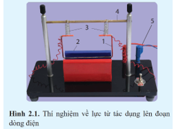 BÀI 2: LỰC TỪ TÁC DỤNG LÊN ĐOẠN DÂY DẪN MANG DÒNG ĐIỆN CẢM ỨNG TỪ I. MỤC TIÊU1. Kiến thứcSau bài học này, HS sẽ:Thực hiện thí nghiệm để mô tả được hướng của lực từ tác dụng lên đoạn dây dẫn mang dòng điện đặt trong từ trường.Xác định được độ lớn và hướng của lực từ tác dụng lên đoạn dây dẫn mang dòng điện đặt trong từ trường.Định nghĩa được cảm ứng từ B và đơn vị tesla.Nêu được đơn vị cơ bản và dẫn xuất để đo các đại lượng từ.Thảo luận đề thiết kế phương án, lựa chọn phương án, thực hiện phương án, đo được (hoặc mô tả được phương pháp đo) cảm ứng từ bằng “cân dòng điện .Vận dụng được công thức tính lực 2. Năng lựcNăng lực chung: Năng lực tự chủ và tự học: Chủ động, tích cực thực hiện nhiệm vụ học tập, phát triển khả năng tư duy độc lập của HS.Năng lực giao tiếp hợp tác: Làm việc nhóm, tích cực tham gia thảo luận nhóm, trao đổi và chia sẻ ý tưởng về nội dung học tập.Năng lực giải quyết vấn đề: Đề xuất vấn đề, nêu giả thuyết, lập kế hoạch, sáng tạo nhiều cách để giải quyết các tình huống thực tế liên quan đến lực từ, cảm ứng từ.Năng lực vật lí:Nhận thức vật lí: + Xác định được độ lớn và hướng của lực từ tác dụng lên đoạn dây dẫn mang dòng điện đặt trong từ trường. + Định nghĩa được cảm ứng từ  và đơn vị tesla, nêu được đơn vị cơ bản và dẫn xuất để đo các đại lượng từ.Tìm hiểu tự nhiên: Thực hiện thí nghiệm để mô tả được hướng của lực từ tác dụng lên đoạn dây dẫn mang dòng điện đặt trong từ trường.Vận dụng kiến thức, kĩ năng đã học: Vận dụng được biểu thức tính lực 3. Phẩm chấtCó niềm say mê, hứng thú với việc khám phá và học tập vật lí. Chủ động, tích cực tham gia các hoạt động học tập. Cẩn thận, chặt chẽ trong suy luậnII. THIẾT BỊ DẠY HỌC VÀ HỌC LIỆU:1. Đối với giáo viên:SGK, SBT, SGV Vật lí 12, Kế hoạch bài dạy.Hình ảnh và bảng trong SGK: hình 2.1 đến 2.8 bảng 2.1. 2.2 (SGK).Video liên quan đến lực từ, cảm ứng từ.Phiếu học tập.Máy chiếu, máy tính (nếu có).2. Đối với học sinh:SGK, SBT Vật lí 12.Dụng cụ học tập theo yêu cầu của GV.Dụng cụ thí nghiệm:+ Bộ 1: Khung dây dẫn, nam châm, lò xo, giá treo, dây dẫn được nối đến các nguồn điện.+ Bộ 2: Đoạn dây dẫn, nam châm, cân. III. TIẾN TRÌNH DẠY HỌCA. HOẠT ĐỘNG KHỞI ĐỘNGa. Mục tiêu: Gợi nhu cầu học tập, tìm hiểu về tác dụng lực của từ trường.b. Nội dung: GV cho HS thảo luận về câu hỏi, HS phát biểu ý kiến của bản thân về kiến thức đã học kết hợp với kinh nghiệm thực tế, từ đó GV định hướng HS vào nội dung của bài học.c. Sản phẩm học tập: Câu trả lời của HS và nhu cầu tìm hiểu bài học.d. Tổ chức thực hiện:Bước 1: GV chuyển giao nhiệm vụ học tập- GV đặt câu hỏi:Ta đã biết, đại lượng đặc trưng cho tác dụng lực của điện trường là cường độ điện trường. Đại lượng nào đặc trưng cho tác dụng lực của từ trường?Bước 2: HS thực hiện nhiệm vụ học tập- HS thảo luận, suy nghĩ và trả lời câu hỏi.Bước 3: Báo cáo kết quả hoạt động và thảo luận- GV mời 2 – 3 HS trả lời câu hỏi.Bước 4: Đánh giá kết quả, thực hiện nhiệm vụ học tập- GV nhận xét chung và dẫn dắt vào bài học mới: Bài học hôm nay chúng ta cùng đi tìm hiểu về phương và chiều của lực từ, cảm ứng từ, độ lớn của cảm ứng từ.– Bài 2. Lực từ tác dụng lên đoạn dây dẫn mang dòng điện . Cảm ứng từ.B. HOẠT ĐỘNG HÌNH THÀNH KIẾN THỨCHoạt động 1. Tìm hiểu về lực từ tác dụng lên đoạn dây dẫn mang dòng điệna. Mục tiêu: HS xây dựng được định nghĩa và xác định được phương, chiều của lực từ tác dụng lên đoạn dây dẫn mang dòng điện.b. Nội dung: GV hướng dẫn HS thực hiện theo các hoạt động trong SGK để thực hiện thí nghiệm, và nêu được phương chiều của lực từ tác dụng lên đoạn dây dẫn mang dòng điện.c. Sản phẩm: Kết quả HS thực hiện các yêu cầu, gợi ý, dẫn dắt của GV để tìm hiểu về lực từ tác dụng lên đoạn dây dẫn mang dòng điện.d. Tổ chức thực hiện:HOẠT ĐỘNG CỦA GV - HSDỰ KIẾN SẢN PHẨMBước 1: GV chuyển giao nhiệm vụ học tập- GV chia lớp thành 6 – 8 nhóm.- GV yêu cầu các nhóm thảo luận và đề xuất phương án thí nghiệm.- GV phát dụng cụ thí nghiệm cho các nhóm và yêu cầu HS tiến hành thí nghiệm theo nội dung Thực hành, khám phá (SGK – tr59)- GV yêu cầu các nhóm thảo luận và trả lời nội dung Câu hỏi (SGK – tr58)+ Câu hỏi 1 (SGK – tr58): Mô tả chiều lực điện tác dụng lên điện tích ở trong điện trường.+ Câu hỏi 2 (SGK – tr58): Làm thế nào để xác định hướng của lực từ do từ trường tác dụng lên một đoạn dòng điện?- Từ nội dung thảo luận, GV rút ra phương của lực từ.- GV yêu cầu các nhóm thảo luận và trả lời nội dung Câu hỏi (SGK – tr60)+ Câu hỏi 3 (SGK – tr60): Trường hợp nào trong Hình 2.4 có lực từ tác dụng lên đoạn dòng điện? Tìm phương và chiều của lực từ trong trường hợp đó.- GV hướng dẫn HS quan sát hình 2.2 để rút ra quy tắc bàn tay trái.- Từ kết quả thảo luận, GV rút ra kết luận về chiều của lực từ giữa hai dòng điện thẳng.- GV hướng dẫn HS thảo luận để rút ra phương, chiều của lực từ giữa hai dòng điện thẳng như nội dung Ví dụ (SGK – tr60)- GV yêu cầu HS thảo luận và trả lời nội dung Câu hỏi 4 (SGK – tr60)Dùng quy tắc bàn tay trái nghiệm lại chiều của lực từ giữa hai dòng điện thẳng như Hình 2.5.Bước 2: HS thực hiện nhiệm vụ học tập- HS đọc thông tin SGK, chăm chú nghe GV giảng bài, thảo luận trả lời các câu hỏi mà GV đưa ra.- GV quan sát, hướng dẫn, hỗ trợ HS (nếu cần thiết).Bước 3: Báo cáo kết quả hoạt động và thảo luận- GV mời đại diện HS trả lời nội dung thảo luận*Trả lời Câu hỏi 1 (SGK – tr58)- Lực tác dụng lên điện tích dương cùng chiều điện trường, lực tác dụng lên điện tích âm ngược chiều điện trường.*Trả lời Câu hỏi 2 (SGK – tr58)- Dùng quy tắc bàn tay trái.*Trả lời Câu hỏi 3 (SGK – tr60)a) Không có lực tác dụng lên đoạn dòng điện.b) Lực có phương vuông góc và đi vào trong trang giấy.c) Lực có phương vuông góc và hướng thẳng đứng xuống dưới.*Trả lời Câu hỏi 4 (SGK – tr60)(HS tự thực hiện).- GV mời HS khác nhận xét, bổ sung. Bước 4: Đánh giá kết quả, thực hiện nhiệm vụ học tập- Từ kết quả thảo luận của nhóm, GV nhận xét, đánh giá quá trình HS thực hiện nhiệm vụ.- GV kết luận về nội dung Lực từ tác dụng lên đoạn dây dẫn mang dòng điện.- GV chuyển sang nội dung Cảm ứng từ.I. LỰC TỪ TÁC DỤNG LÊN ĐOẠN DÂY DẪN MANG DÒNG ĐIỆN1. Thí nghiệm2. Phương của lực từ tác dụng lên đoạn dòng điện- Lực từ tác dụng lên đoạn dòng điện đặt trong từ trường có phương vuông góc với mặt phẳng chứa đoạn dòng điện và đường sức từ tại điểm khảo sát.3. Chiều của lực từ tác dụng lên đoạn dòng điện- Đặt bàn tay trái sao cho các đường sức từ đâm xuyên vào lòng bàn tay, chiều từ cổ tay đến ngón tay trùng với chiều dòng điện, ngón cái choãi ra 900 chỉ chiều của lực từ tác dụng lên đoạn dòng điện. ----------------------------------------------------------- Còn tiếp ----------------------Ngày soạn:…/…/…Ngày dạy:…/…/… BÀI 3: CẢM ỨNG ĐIỆN TỪ I. MỤC TIÊU1. Kiến thứcSau bài học này, HS sẽ:Định nghĩa được từ thông và đơn vị weber.Tiến hành các thí nghiệm đơn giản minh hoạ được hiện tượng cảm ứng điện từ.Vận dụng được định luật Faraday và định luật Lenz về cảm ứng điện tử.Giải thích được một số ứng dụng đơn giản của hiện tượng cảm ứng điện từ.Mô tả được mô hình sóng điện từ và ứng dụng để giải thích sự tạo thành và lan truyền của các sóng điện từ trong thang sóng điện từ.2. Năng lựcNăng lực chung: Năng lực tự chủ và tự học: Chủ động, tích cực thực hiện nhiệm vụ học tập, phát triển khả năng tư duy độc lập của HS.Năng lực giao tiếp hợp tác: Làm việc nhóm, tích cực tham gia thảo luận nhóm, trao đổi và chia sẻ ý tưởng về nội dung học tập.Năng lực giải quyết vấn đề: Đề xuất vấn đề, nêu giả thuyết, lập kế hoạch, sáng tạo nhiều cách để giải quyết các tình huống thực tế liên quan đến lực từ, cảm ứng từ.Năng lực vật lí:Nhận thức vật lí: + Định nghĩa được từ thông và đơn vị weber.+ Mô tả được mô hình sóng điện từ và ứng dụng để giải thích sự tạo thành và lan truyền của các sóng điện từ trong thang sóng điện từ.Tìm hiểu tự nhiên: Tiến hành các thí nghiệm đơn giản mình hoạ được hiện tượng cảm ứng điện tử.Vận dụng kiến thức, kĩ năng đã học: + Vận dụng được định luật Faraday và định luật Lenz về cảm ứng điện từ.+ Giải thích được một số ứng dụng đơn giản của hiện tượng cảm ứng điện tử.3. Phẩm chấtCó niềm say mê, hứng thú với việc khám phá và học tập vật lí. Chủ động, tích cực tham gia các hoạt động học tập. Cẩn thận, chặt chẽ trong suy luậnII. THIẾT BỊ DẠY HỌC VÀ HỌC LIỆU:1. Đối với giáo viên:SGK, SBT, SGV Vật lí 12, Kế hoạch bài dạy.Hình ảnh và bảng trong SGK: hình 3.1 đến 3.21 (SGK).Video liên quan đến lực từ, cảm ứng từ.Phiếu học tập.Máy chiếu, máy tính (nếu có).2. Đối với học sinh:SGK, SBT Vật lí 12.Dụng cụ học tập theo yêu cầu của GV.Dụng cụ thí nghiệm:+ Điện kế, nam châm thẳng, ống dây.III. TIẾN TRÌNH DẠY HỌCA. HOẠT ĐỘNG KHỞI ĐỘNGa. Mục tiêu: Gợi nhu cầu học tập, tìm hiểu về dòng điện của từ trường.b. Nội dung: GV cho HS thảo luận về câu hỏi, HS phát biểu ý kiến của bản thân về kiến thức đã học kết hợp với kinh nghiệm thực tế, từ đó GV định hướng HS vào nội dung của bài học.c. Sản phẩm học tập: Câu trả lời của HS và nhu cầu tìm hiểu bài học.d. Tổ chức thực hiện:Bước 1: GV chuyển giao nhiệm vụ học tập- GV đặt câu hỏi:Dòng điện tạo ra từ trường ở không gian xung quanh nó. Từ trường có gây ra dòng điện được không?Bước 2: HS thực hiện nhiệm vụ học tập- HS thảo luận, suy nghĩ và trả lời câu hỏi.Bước 3: Báo cáo kết quả hoạt động và thảo luận- GV mời 2 – 3 HS trả lời câu hỏi.Bước 4: Đánh giá kết quả, thực hiện nhiệm vụ học tập- GV nhận xét chung và dẫn dắt vào bài học mới: Bài học hôm nay chúng ta cùng đi tìm hiểu về hiện tượng cảm ứng điện từ, thực hiện các thí nghiệm minh họa hiện tược cảm ứng điện từ, tìm hiểu các định luật về cảm ứng điện từ.– Bài 3: Cảm ứng điện từ.B. HOẠT ĐỘNG HÌNH THÀNH KIẾN THỨCHoạt động 1. Tìm hiểu định nghĩa từ thônga. Mục tiêu: HS định nghĩa được từ thông và đơn vị weber.b. Nội dung: GV hướng dẫn HS thực hiện theo các hoạt động trong SGK để tìm hiểu về từ thông.c. Sản phẩm: Kết quả HS thực hiện các yêu cầu, gợi ý, dẫn dắt của GV để nêu được định nghĩa, công thức và đơn vị của từ thông.d. Tổ chức thực hiện:HOẠT ĐỘNG CỦA GV - HSDỰ KIẾN SẢN PHẨMBước 1: GV chuyển giao nhiệm vụ học tập- GV yêu cầu HS nghiên cứu SGK và đặt câu hỏi:+ Đại lượng   nào đặc trưng cho số đường sức từ biến thiên qua tiết diện của cuộn dây dẫn kín?- GV chiếu hình 3.1 và mô tả đường sức từ xuyên qua diện tích S.- GV thông báo biểu thức từ thông.- GV đặt câu hỏi và yêu cầu HS trả lời:+ Em hãy nêu đơn vị của từ thông, ý nghĩa và đơn vị đo từ thông.+ Câu hỏi 1 (SGK – tr66): Một vòng dây dẫn phẳng có diện tích 0,1 m2 được đặt vuông góc với từ trường có độ lớn cảm ứng từ là 2,0.10-3 T. Tính từ thông qua vòng dây này.- Sau khi HS trả lời, GV kết luận về định nghĩa, công thức và đơn vị của từ thông.Bước 2: HS thực hiện nhiệm vụ học tập- HS đọc thông tin SGK, trao đổi, thảo luận trả lời các câu hỏi mà GV đưa ra.- GV quan sát, hướng dẫn, hỗ trợ HS (nếu cần thiết).Bước 3: Báo cáo kết quả hoạt động và thảo luận- GV mời đại diện các nhóm báo cáo kết quả thảo luận:*Trả lời Câu hỏi 1 (SGK – tr66)- Từ thông qua vòng dây là- GV mời HS khác nhận xét, bổ sung. Bước 4: Đánh giá kết quả, thực hiện nhiệm vụ học tập- Từ kết quả thảo luận của nhóm, GV nhận xét, đánh giá quá trình HS thực hiện nhiệm vụ.- GV kết luận về nội dung Từ thông.- GV chuyển sang nội dung Hiện tượng cảm ứng điện từ.I. TỪ THÔNG1. Định nghĩa- Xét một mặt có diện tích S (được coi là phẳng). Mặt S đó được đặt trong từ trường đều . Trên đường vuông góc với mặt S, vẽ vecto pháp tuyến  của mặt S. Chiều của  có thể chọn tùy ý. Góc hợp bởi  và  được kí hiệu là αF = BScosa. - Theo quy ước, độ lớn của cảm ứng từ B còn được gọi là mật độ từ thông.2. Đơn vị đo từ thông- Đơn vị đo từ thông: weber (kí hiệu: Wb).- Một weber (1 Wb) là từ thông đi qua diện tích 1 m2 vuông góc với cảm ứng từ B, khi cảm ứng từ có độ lớn là 1 T.1 Wb = 1 T. 1 m2----------------------------------------------------------- Còn tiếp ----------------------II. TRẮC NGHIỆM KÌ 2 VẬT LÍ 12 CÁNH DIỀUPhiếu trắc nghiệm Vật lí 12 Cánh diều bài 1: Từ trườngPhiếu trắc nghiệm Vật lí 12 Cánh diều bài 2: Lực từ tác dụng lên đoạn dây dẫn mang dòng điện Cảm ứng từPhiếu trắc nghiệm Vật lí 12 Cánh diều bài 3: Cảm ứng điện từPhiếu trắc nghiệm Vật lí 12 Cánh diều bài 4: Đại cương về dòng điện xoay chiềuPhiếu trắc nghiệm Vật lí 12 Cánh diều bài 1: Cấu trúc hạt nhânPhiếu trắc nghiệm Vật lí 12 Cánh diều bài 2: Năng lượng hạt nhânPhiếu trắc nghiệm Vật lí 12 Cánh diều bài 3: Phóng xạCHỦ ĐỀ 3: TỪ TRƯỜNG BÀI 2: LỰC TỪ TÁC DỤNG LÊN ĐOẠN DÂY DẪN MANG DÒNG ĐIỆN CẢM ỨNG TỪ  (40 CÂU)A. CÂU HỎI TRẮC NGHIỆM1. NHẬN BIẾT (12 CÂU)Câu 1: Đặt một dây dẫn có chiều dài là I, mang dòng điện I trong từ trường có độ lớn cảm ứng từ B và tạo với cảm ứng từ góc 0. Lực do từ trường tác dụng lên dây dẫn có độ lớn làA. I.B. B.C. BIlsinD. sin.Câu 2: Lực tác dụng lên một dây dẫn mang dòng điện đặt trong từ trường có hướngA. vuông góc với hướng dòng điện.B. vuông góc với hướng cảm ứng từ.C. vuông góc với cả hướng cảm ứng từ và hướng dòng điện.D. vuông góc với hướng cảm ứng từ, không vuông góc với hướng dòng điện.Câu 3: Một tesla bằngA. 50 N.A-1.m-1.B. 100 N.A-1.m-1.C. 1 N.A-1.m-1.D. 1 000 N.A-1.m-1.Câu 4: Một dòng điện đặt vuông góc với đường sức từ trong từ trường, chiều của lực từ tác dụng vào dòng điện sẽ không thay đổi khiA. đổi chiều dòng điện ngược lại.B. đổi chiều cảm ứng từ ngược lại.C. đồng thời đổi chiều dòng điện và đổi chiều cảm ứng từ.D. quay dòng điện một góc 90° xung quanh đường sức từ.Câu 5: Cho một đoạn dây dẫn mang dòng điện I đặt song song với đường sức từ, chiêucủa dòng điện ngược chiều với chiều của đường sức từ.A. Lực từ luôn bằng không khi tăng cường độ dòng điện. B. Lực từ tăng khi tăng cường độ dòng điện.C. Lực từ giảm khi tăng cường độ dòng điện.D. Lực từ đổi chiều khi ta đổi chiều dòng điện.Câu 6: Cảm ứng từ tại một điểm trong từ trườngA. Phương trùng với phương của nam châm thử nằm cân bằng tại điểm đóB. Cùng hướng với lực từ tác dụng lên phần tử dòng điện đặt tại điểm đóC. Có độ lớn tỉ lệ nghịch với độ lớn của lực từ tác dụng lên phần tử dòng điện đặt tạo điểm đó.D. Có độ lớn tỉ lệ với cường độ của phần tử dòng điện đặt tại điểm đóCâu 7: Chiều của lực từ tác dụng lên đoạn dây dẫn mang dòng điện, thường được xác định bằng quy tắc:A. vặn đinh ốc.B. nắm tay phải.C. bàn tay trái.D. bàn tay phải.Câu 8: Hướng của từ trường, hướng của dòng điện và hướng của lực điện từ tác dụng lên dòng điện nàyA. tạo thành một tam giác vuông.B. tạo thành một tam diện thuận.C. luôn cùng hướng với nhau.D. luôn hợp với nhau góc 1200.Câu 9: Cảm ứng từ là đại lượng đặc trưng cho từ trường về phương diệnA. sinh công của từ trường.B. tác dụng lực của từ trường.C. tác dụng sinh lý của từ trường.D. tác dụng hóa học của từ trường.Câu 10: Cảm ứng từ tại một điểm trong từ trường có hướngA. vuông góc với đường sức từ.B. trùng với hướng của đường sức từ.C. trùng với hướng của lực từ.D. ngược với hướng của lực từ.…………………..2. THÔNG HIỂU (12 CÂU) Câu 1: Một vòng dây hình vuông nằm trong mặt phẳng tờ giấy. Trong vòng dây này có dòng điện với cường độ I chạy theo chiều kim đồng hồ. Nếu cảm ứng từ hướng từ trái sang phải và nếu mỗi cạnh của vòng dây có chiều dài 7 thì tổng lực từ tác dụng lên vòng dây bằngA. 2BIl.B. BIl.C. BIl2.D. 0.----------------------------------------------------------- Còn tiếp ----------------------CHỦ ĐỀ 3: TỪ TRƯỜNGBÀI 4: ĐẠI CƯƠNG VỀ DÒNG ĐIỆN XOAY CHIỀU(34 CÂU)