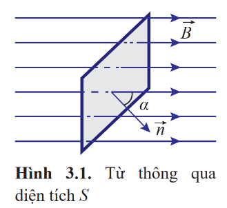 BÀI 2: LỰC TỪ TÁC DỤNG LÊN ĐOẠN DÂY DẪN MANG DÒNG ĐIỆN CẢM ỨNG TỪ I. MỤC TIÊU1. Kiến thứcSau bài học này, HS sẽ:Thực hiện thí nghiệm để mô tả được hướng của lực từ tác dụng lên đoạn dây dẫn mang dòng điện đặt trong từ trường.Xác định được độ lớn và hướng của lực từ tác dụng lên đoạn dây dẫn mang dòng điện đặt trong từ trường.Định nghĩa được cảm ứng từ B và đơn vị tesla.Nêu được đơn vị cơ bản và dẫn xuất để đo các đại lượng từ.Thảo luận đề thiết kế phương án, lựa chọn phương án, thực hiện phương án, đo được (hoặc mô tả được phương pháp đo) cảm ứng từ bằng “cân dòng điện .Vận dụng được công thức tính lực 2. Năng lựcNăng lực chung: Năng lực tự chủ và tự học: Chủ động, tích cực thực hiện nhiệm vụ học tập, phát triển khả năng tư duy độc lập của HS.Năng lực giao tiếp hợp tác: Làm việc nhóm, tích cực tham gia thảo luận nhóm, trao đổi và chia sẻ ý tưởng về nội dung học tập.Năng lực giải quyết vấn đề: Đề xuất vấn đề, nêu giả thuyết, lập kế hoạch, sáng tạo nhiều cách để giải quyết các tình huống thực tế liên quan đến lực từ, cảm ứng từ.Năng lực vật lí:Nhận thức vật lí: + Xác định được độ lớn và hướng của lực từ tác dụng lên đoạn dây dẫn mang dòng điện đặt trong từ trường. + Định nghĩa được cảm ứng từ  và đơn vị tesla, nêu được đơn vị cơ bản và dẫn xuất để đo các đại lượng từ.Tìm hiểu tự nhiên: Thực hiện thí nghiệm để mô tả được hướng của lực từ tác dụng lên đoạn dây dẫn mang dòng điện đặt trong từ trường.Vận dụng kiến thức, kĩ năng đã học: Vận dụng được biểu thức tính lực 3. Phẩm chấtCó niềm say mê, hứng thú với việc khám phá và học tập vật lí. Chủ động, tích cực tham gia các hoạt động học tập. Cẩn thận, chặt chẽ trong suy luậnII. THIẾT BỊ DẠY HỌC VÀ HỌC LIỆU:1. Đối với giáo viên:SGK, SBT, SGV Vật lí 12, Kế hoạch bài dạy.Hình ảnh và bảng trong SGK: hình 2.1 đến 2.8 bảng 2.1. 2.2 (SGK).Video liên quan đến lực từ, cảm ứng từ.Phiếu học tập.Máy chiếu, máy tính (nếu có).2. Đối với học sinh:SGK, SBT Vật lí 12.Dụng cụ học tập theo yêu cầu của GV.Dụng cụ thí nghiệm:+ Bộ 1: Khung dây dẫn, nam châm, lò xo, giá treo, dây dẫn được nối đến các nguồn điện.+ Bộ 2: Đoạn dây dẫn, nam châm, cân. III. TIẾN TRÌNH DẠY HỌCA. HOẠT ĐỘNG KHỞI ĐỘNGa. Mục tiêu: Gợi nhu cầu học tập, tìm hiểu về tác dụng lực của từ trường.b. Nội dung: GV cho HS thảo luận về câu hỏi, HS phát biểu ý kiến của bản thân về kiến thức đã học kết hợp với kinh nghiệm thực tế, từ đó GV định hướng HS vào nội dung của bài học.c. Sản phẩm học tập: Câu trả lời của HS và nhu cầu tìm hiểu bài học.d. Tổ chức thực hiện:Bước 1: GV chuyển giao nhiệm vụ học tập- GV đặt câu hỏi:Ta đã biết, đại lượng đặc trưng cho tác dụng lực của điện trường là cường độ điện trường. Đại lượng nào đặc trưng cho tác dụng lực của từ trường?Bước 2: HS thực hiện nhiệm vụ học tập- HS thảo luận, suy nghĩ và trả lời câu hỏi.Bước 3: Báo cáo kết quả hoạt động và thảo luận- GV mời 2 – 3 HS trả lời câu hỏi.Bước 4: Đánh giá kết quả, thực hiện nhiệm vụ học tập- GV nhận xét chung và dẫn dắt vào bài học mới: Bài học hôm nay chúng ta cùng đi tìm hiểu về phương và chiều của lực từ, cảm ứng từ, độ lớn của cảm ứng từ.– Bài 2. Lực từ tác dụng lên đoạn dây dẫn mang dòng điện . Cảm ứng từ.B. HOẠT ĐỘNG HÌNH THÀNH KIẾN THỨCHoạt động 1. Tìm hiểu về lực từ tác dụng lên đoạn dây dẫn mang dòng điệna. Mục tiêu: HS xây dựng được định nghĩa và xác định được phương, chiều của lực từ tác dụng lên đoạn dây dẫn mang dòng điện.b. Nội dung: GV hướng dẫn HS thực hiện theo các hoạt động trong SGK để thực hiện thí nghiệm, và nêu được phương chiều của lực từ tác dụng lên đoạn dây dẫn mang dòng điện.c. Sản phẩm: Kết quả HS thực hiện các yêu cầu, gợi ý, dẫn dắt của GV để tìm hiểu về lực từ tác dụng lên đoạn dây dẫn mang dòng điện.d. Tổ chức thực hiện:HOẠT ĐỘNG CỦA GV - HSDỰ KIẾN SẢN PHẨMBước 1: GV chuyển giao nhiệm vụ học tập- GV chia lớp thành 6 – 8 nhóm.- GV yêu cầu các nhóm thảo luận và đề xuất phương án thí nghiệm.- GV phát dụng cụ thí nghiệm cho các nhóm và yêu cầu HS tiến hành thí nghiệm theo nội dung Thực hành, khám phá (SGK – tr59)- GV yêu cầu các nhóm thảo luận và trả lời nội dung Câu hỏi (SGK – tr58)+ Câu hỏi 1 (SGK – tr58): Mô tả chiều lực điện tác dụng lên điện tích ở trong điện trường.+ Câu hỏi 2 (SGK – tr58): Làm thế nào để xác định hướng của lực từ do từ trường tác dụng lên một đoạn dòng điện?- Từ nội dung thảo luận, GV rút ra phương của lực từ.- GV yêu cầu các nhóm thảo luận và trả lời nội dung Câu hỏi (SGK – tr60)+ Câu hỏi 3 (SGK – tr60): Trường hợp nào trong Hình 2.4 có lực từ tác dụng lên đoạn dòng điện? Tìm phương và chiều của lực từ trong trường hợp đó.- GV hướng dẫn HS quan sát hình 2.2 để rút ra quy tắc bàn tay trái.- Từ kết quả thảo luận, GV rút ra kết luận về chiều của lực từ giữa hai dòng điện thẳng.- GV hướng dẫn HS thảo luận để rút ra phương, chiều của lực từ giữa hai dòng điện thẳng như nội dung Ví dụ (SGK – tr60)- GV yêu cầu HS thảo luận và trả lời nội dung Câu hỏi 4 (SGK – tr60)Dùng quy tắc bàn tay trái nghiệm lại chiều của lực từ giữa hai dòng điện thẳng như Hình 2.5.Bước 2: HS thực hiện nhiệm vụ học tập- HS đọc thông tin SGK, chăm chú nghe GV giảng bài, thảo luận trả lời các câu hỏi mà GV đưa ra.- GV quan sát, hướng dẫn, hỗ trợ HS (nếu cần thiết).Bước 3: Báo cáo kết quả hoạt động và thảo luận- GV mời đại diện HS trả lời nội dung thảo luận*Trả lời Câu hỏi 1 (SGK – tr58)- Lực tác dụng lên điện tích dương cùng chiều điện trường, lực tác dụng lên điện tích âm ngược chiều điện trường.*Trả lời Câu hỏi 2 (SGK – tr58)- Dùng quy tắc bàn tay trái.*Trả lời Câu hỏi 3 (SGK – tr60)a) Không có lực tác dụng lên đoạn dòng điện.b) Lực có phương vuông góc và đi vào trong trang giấy.c) Lực có phương vuông góc và hướng thẳng đứng xuống dưới.*Trả lời Câu hỏi 4 (SGK – tr60)(HS tự thực hiện).- GV mời HS khác nhận xét, bổ sung. Bước 4: Đánh giá kết quả, thực hiện nhiệm vụ học tập- Từ kết quả thảo luận của nhóm, GV nhận xét, đánh giá quá trình HS thực hiện nhiệm vụ.- GV kết luận về nội dung Lực từ tác dụng lên đoạn dây dẫn mang dòng điện.- GV chuyển sang nội dung Cảm ứng từ.I. LỰC TỪ TÁC DỤNG LÊN ĐOẠN DÂY DẪN MANG DÒNG ĐIỆN1. Thí nghiệm2. Phương của lực từ tác dụng lên đoạn dòng điện- Lực từ tác dụng lên đoạn dòng điện đặt trong từ trường có phương vuông góc với mặt phẳng chứa đoạn dòng điện và đường sức từ tại điểm khảo sát.3. Chiều của lực từ tác dụng lên đoạn dòng điện- Đặt bàn tay trái sao cho các đường sức từ đâm xuyên vào lòng bàn tay, chiều từ cổ tay đến ngón tay trùng với chiều dòng điện, ngón cái choãi ra 900 chỉ chiều của lực từ tác dụng lên đoạn dòng điện. ----------------------------------------------------------- Còn tiếp ----------------------Ngày soạn:…/…/…Ngày dạy:…/…/… BÀI 3: CẢM ỨNG ĐIỆN TỪ I. MỤC TIÊU1. Kiến thứcSau bài học này, HS sẽ:Định nghĩa được từ thông và đơn vị weber.Tiến hành các thí nghiệm đơn giản minh hoạ được hiện tượng cảm ứng điện từ.Vận dụng được định luật Faraday và định luật Lenz về cảm ứng điện tử.Giải thích được một số ứng dụng đơn giản của hiện tượng cảm ứng điện từ.Mô tả được mô hình sóng điện từ và ứng dụng để giải thích sự tạo thành và lan truyền của các sóng điện từ trong thang sóng điện từ.2. Năng lựcNăng lực chung: Năng lực tự chủ và tự học: Chủ động, tích cực thực hiện nhiệm vụ học tập, phát triển khả năng tư duy độc lập của HS.Năng lực giao tiếp hợp tác: Làm việc nhóm, tích cực tham gia thảo luận nhóm, trao đổi và chia sẻ ý tưởng về nội dung học tập.Năng lực giải quyết vấn đề: Đề xuất vấn đề, nêu giả thuyết, lập kế hoạch, sáng tạo nhiều cách để giải quyết các tình huống thực tế liên quan đến lực từ, cảm ứng từ.Năng lực vật lí:Nhận thức vật lí: + Định nghĩa được từ thông và đơn vị weber.+ Mô tả được mô hình sóng điện từ và ứng dụng để giải thích sự tạo thành và lan truyền của các sóng điện từ trong thang sóng điện từ.Tìm hiểu tự nhiên: Tiến hành các thí nghiệm đơn giản mình hoạ được hiện tượng cảm ứng điện tử.Vận dụng kiến thức, kĩ năng đã học: + Vận dụng được định luật Faraday và định luật Lenz về cảm ứng điện từ.+ Giải thích được một số ứng dụng đơn giản của hiện tượng cảm ứng điện tử.3. Phẩm chấtCó niềm say mê, hứng thú với việc khám phá và học tập vật lí. Chủ động, tích cực tham gia các hoạt động học tập. Cẩn thận, chặt chẽ trong suy luậnII. THIẾT BỊ DẠY HỌC VÀ HỌC LIỆU:1. Đối với giáo viên:SGK, SBT, SGV Vật lí 12, Kế hoạch bài dạy.Hình ảnh và bảng trong SGK: hình 3.1 đến 3.21 (SGK).Video liên quan đến lực từ, cảm ứng từ.Phiếu học tập.Máy chiếu, máy tính (nếu có).2. Đối với học sinh:SGK, SBT Vật lí 12.Dụng cụ học tập theo yêu cầu của GV.Dụng cụ thí nghiệm:+ Điện kế, nam châm thẳng, ống dây.III. TIẾN TRÌNH DẠY HỌCA. HOẠT ĐỘNG KHỞI ĐỘNGa. Mục tiêu: Gợi nhu cầu học tập, tìm hiểu về dòng điện của từ trường.b. Nội dung: GV cho HS thảo luận về câu hỏi, HS phát biểu ý kiến của bản thân về kiến thức đã học kết hợp với kinh nghiệm thực tế, từ đó GV định hướng HS vào nội dung của bài học.c. Sản phẩm học tập: Câu trả lời của HS và nhu cầu tìm hiểu bài học.d. Tổ chức thực hiện:Bước 1: GV chuyển giao nhiệm vụ học tập- GV đặt câu hỏi:Dòng điện tạo ra từ trường ở không gian xung quanh nó. Từ trường có gây ra dòng điện được không?Bước 2: HS thực hiện nhiệm vụ học tập- HS thảo luận, suy nghĩ và trả lời câu hỏi.Bước 3: Báo cáo kết quả hoạt động và thảo luận- GV mời 2 – 3 HS trả lời câu hỏi.Bước 4: Đánh giá kết quả, thực hiện nhiệm vụ học tập- GV nhận xét chung và dẫn dắt vào bài học mới: Bài học hôm nay chúng ta cùng đi tìm hiểu về hiện tượng cảm ứng điện từ, thực hiện các thí nghiệm minh họa hiện tược cảm ứng điện từ, tìm hiểu các định luật về cảm ứng điện từ.– Bài 3: Cảm ứng điện từ.B. HOẠT ĐỘNG HÌNH THÀNH KIẾN THỨCHoạt động 1. Tìm hiểu định nghĩa từ thônga. Mục tiêu: HS định nghĩa được từ thông và đơn vị weber.b. Nội dung: GV hướng dẫn HS thực hiện theo các hoạt động trong SGK để tìm hiểu về từ thông.c. Sản phẩm: Kết quả HS thực hiện các yêu cầu, gợi ý, dẫn dắt của GV để nêu được định nghĩa, công thức và đơn vị của từ thông.d. Tổ chức thực hiện:HOẠT ĐỘNG CỦA GV - HSDỰ KIẾN SẢN PHẨMBước 1: GV chuyển giao nhiệm vụ học tập- GV yêu cầu HS nghiên cứu SGK và đặt câu hỏi:+ Đại lượng   nào đặc trưng cho số đường sức từ biến thiên qua tiết diện của cuộn dây dẫn kín?- GV chiếu hình 3.1 và mô tả đường sức từ xuyên qua diện tích S.- GV thông báo biểu thức từ thông.- GV đặt câu hỏi và yêu cầu HS trả lời:+ Em hãy nêu đơn vị của từ thông, ý nghĩa và đơn vị đo từ thông.+ Câu hỏi 1 (SGK – tr66): Một vòng dây dẫn phẳng có diện tích 0,1 m2 được đặt vuông góc với từ trường có độ lớn cảm ứng từ là 2,0.10-3 T. Tính từ thông qua vòng dây này.- Sau khi HS trả lời, GV kết luận về định nghĩa, công thức và đơn vị của từ thông.Bước 2: HS thực hiện nhiệm vụ học tập- HS đọc thông tin SGK, trao đổi, thảo luận trả lời các câu hỏi mà GV đưa ra.- GV quan sát, hướng dẫn, hỗ trợ HS (nếu cần thiết).Bước 3: Báo cáo kết quả hoạt động và thảo luận- GV mời đại diện các nhóm báo cáo kết quả thảo luận:*Trả lời Câu hỏi 1 (SGK – tr66)- Từ thông qua vòng dây là- GV mời HS khác nhận xét, bổ sung. Bước 4: Đánh giá kết quả, thực hiện nhiệm vụ học tập- Từ kết quả thảo luận của nhóm, GV nhận xét, đánh giá quá trình HS thực hiện nhiệm vụ.- GV kết luận về nội dung Từ thông.- GV chuyển sang nội dung Hiện tượng cảm ứng điện từ.I. TỪ THÔNG1. Định nghĩa- Xét một mặt có diện tích S (được coi là phẳng). Mặt S đó được đặt trong từ trường đều . Trên đường vuông góc với mặt S, vẽ vecto pháp tuyến  của mặt S. Chiều của  có thể chọn tùy ý. Góc hợp bởi  và  được kí hiệu là αF = BScosa. - Theo quy ước, độ lớn của cảm ứng từ B còn được gọi là mật độ từ thông.2. Đơn vị đo từ thông- Đơn vị đo từ thông: weber (kí hiệu: Wb).- Một weber (1 Wb) là từ thông đi qua diện tích 1 m2 vuông góc với cảm ứng từ B, khi cảm ứng từ có độ lớn là 1 T.1 Wb = 1 T. 1 m2----------------------------------------------------------- Còn tiếp ----------------------II. TRẮC NGHIỆM KÌ 2 VẬT LÍ 12 CÁNH DIỀUPhiếu trắc nghiệm Vật lí 12 Cánh diều bài 1: Từ trườngPhiếu trắc nghiệm Vật lí 12 Cánh diều bài 2: Lực từ tác dụng lên đoạn dây dẫn mang dòng điện Cảm ứng từPhiếu trắc nghiệm Vật lí 12 Cánh diều bài 3: Cảm ứng điện từPhiếu trắc nghiệm Vật lí 12 Cánh diều bài 4: Đại cương về dòng điện xoay chiềuPhiếu trắc nghiệm Vật lí 12 Cánh diều bài 1: Cấu trúc hạt nhânPhiếu trắc nghiệm Vật lí 12 Cánh diều bài 2: Năng lượng hạt nhânPhiếu trắc nghiệm Vật lí 12 Cánh diều bài 3: Phóng xạCHỦ ĐỀ 3: TỪ TRƯỜNG BÀI 2: LỰC TỪ TÁC DỤNG LÊN ĐOẠN DÂY DẪN MANG DÒNG ĐIỆN CẢM ỨNG TỪ  (40 CÂU)A. CÂU HỎI TRẮC NGHIỆM1. NHẬN BIẾT (12 CÂU)Câu 1: Đặt một dây dẫn có chiều dài là I, mang dòng điện I trong từ trường có độ lớn cảm ứng từ B và tạo với cảm ứng từ góc 0. Lực do từ trường tác dụng lên dây dẫn có độ lớn làA. I.B. B.C. BIlsinD. sin.Câu 2: Lực tác dụng lên một dây dẫn mang dòng điện đặt trong từ trường có hướngA. vuông góc với hướng dòng điện.B. vuông góc với hướng cảm ứng từ.C. vuông góc với cả hướng cảm ứng từ và hướng dòng điện.D. vuông góc với hướng cảm ứng từ, không vuông góc với hướng dòng điện.Câu 3: Một tesla bằngA. 50 N.A-1.m-1.B. 100 N.A-1.m-1.C. 1 N.A-1.m-1.D. 1 000 N.A-1.m-1.Câu 4: Một dòng điện đặt vuông góc với đường sức từ trong từ trường, chiều của lực từ tác dụng vào dòng điện sẽ không thay đổi khiA. đổi chiều dòng điện ngược lại.B. đổi chiều cảm ứng từ ngược lại.C. đồng thời đổi chiều dòng điện và đổi chiều cảm ứng từ.D. quay dòng điện một góc 90° xung quanh đường sức từ.Câu 5: Cho một đoạn dây dẫn mang dòng điện I đặt song song với đường sức từ, chiêucủa dòng điện ngược chiều với chiều của đường sức từ.A. Lực từ luôn bằng không khi tăng cường độ dòng điện. B. Lực từ tăng khi tăng cường độ dòng điện.C. Lực từ giảm khi tăng cường độ dòng điện.D. Lực từ đổi chiều khi ta đổi chiều dòng điện.Câu 6: Cảm ứng từ tại một điểm trong từ trườngA. Phương trùng với phương của nam châm thử nằm cân bằng tại điểm đóB. Cùng hướng với lực từ tác dụng lên phần tử dòng điện đặt tại điểm đóC. Có độ lớn tỉ lệ nghịch với độ lớn của lực từ tác dụng lên phần tử dòng điện đặt tạo điểm đó.D. Có độ lớn tỉ lệ với cường độ của phần tử dòng điện đặt tại điểm đóCâu 7: Chiều của lực từ tác dụng lên đoạn dây dẫn mang dòng điện, thường được xác định bằng quy tắc:A. vặn đinh ốc.B. nắm tay phải.C. bàn tay trái.D. bàn tay phải.Câu 8: Hướng của từ trường, hướng của dòng điện và hướng của lực điện từ tác dụng lên dòng điện nàyA. tạo thành một tam giác vuông.B. tạo thành một tam diện thuận.C. luôn cùng hướng với nhau.D. luôn hợp với nhau góc 1200.Câu 9: Cảm ứng từ là đại lượng đặc trưng cho từ trường về phương diệnA. sinh công của từ trường.B. tác dụng lực của từ trường.C. tác dụng sinh lý của từ trường.D. tác dụng hóa học của từ trường.Câu 10: Cảm ứng từ tại một điểm trong từ trường có hướngA. vuông góc với đường sức từ.B. trùng với hướng của đường sức từ.C. trùng với hướng của lực từ.D. ngược với hướng của lực từ.…………………..2. THÔNG HIỂU (12 CÂU) Câu 1: Một vòng dây hình vuông nằm trong mặt phẳng tờ giấy. Trong vòng dây này có dòng điện với cường độ I chạy theo chiều kim đồng hồ. Nếu cảm ứng từ hướng từ trái sang phải và nếu mỗi cạnh của vòng dây có chiều dài 7 thì tổng lực từ tác dụng lên vòng dây bằngA. 2BIl.B. BIl.C. BIl2.D. 0.----------------------------------------------------------- Còn tiếp ----------------------CHỦ ĐỀ 3: TỪ TRƯỜNGBÀI 4: ĐẠI CƯƠNG VỀ DÒNG ĐIỆN XOAY CHIỀU(34 CÂU)