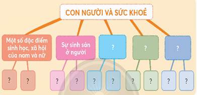 BÀI 27: ÔN TẬP CHỦ ĐỀ CON NGƯỜI VÀ SỨC KHỎE(1 tiết)