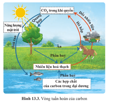 CHỦ ĐỀ 5: NĂNG LƯỢNG VỚI CUỘC SỐNG