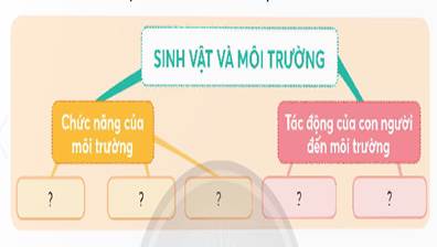 BÀI 30: ÔN TẬP CHỦ ĐỀ SINH VẬT VÀ MÔI TRƯỜNG(1 tiết)