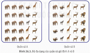 CHƯƠNG 7: SINH THÁI HỌC QUẦN XÃ