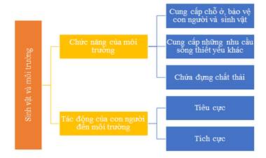 BÀI 30: ÔN TẬP CHỦ ĐỀ SINH VẬT VÀ MÔI TRƯỜNG(1 tiết)