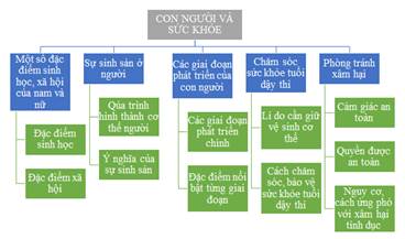 BÀI 27: ÔN TẬP CHỦ ĐỀ CON NGƯỜI VÀ SỨC KHỎE(1 tiết)