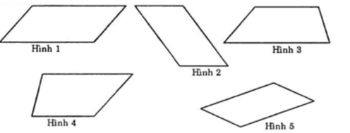 BÀI 2. HÌNH CHỮ NHẬT – HÌNH THOI – HÌNH BÌNH HÀNH – HÌNH THANG CÂN