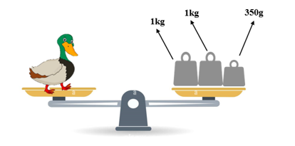 BÀI 4. PHÂN SỐ THẬP PHÂN