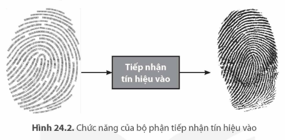 BÀI 24: KHÁI QUÁT VỀ VI ĐIỀU KHIỂN