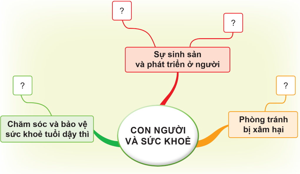 ÔN TẬP CHỦ ĐỀ CON NGƯỜI VÀ SỨC KHỎE