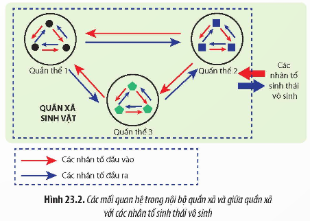 CHỦ ĐỀ 8: QUẦN XÃ SINH VẬT VÀ HỆ SINH THÁI