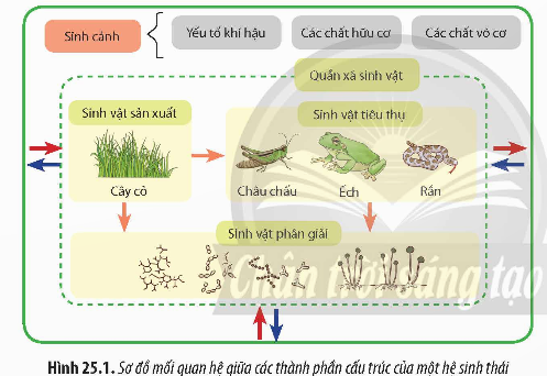 BÀI 25: HỆ SINH THÁI