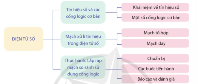 ÔN TẬP CHỦ ĐỀ 8