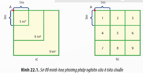 BÀI 22: THỰC HÀNH: XÁC ĐỊNH MỘT SỐ ĐẶC TRƯNG CỦA QUẦN THỂ SINH VẬT