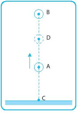 BÀI 31: SỰ CHUYỂN HÓA NĂNG LƯỢNG