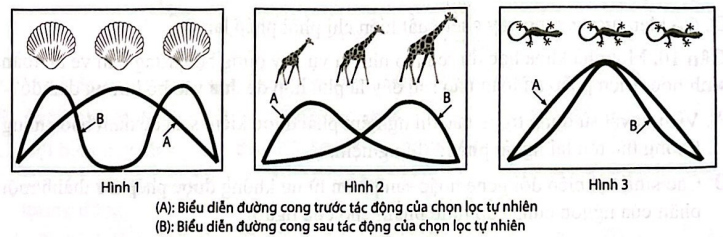 HƯỚNG DẪN CHẤM KIỂM TRA GIỮA HỌC KÌ II (2024 – 2025)MÔN: SINH HỌC 12 – CHÂN TRỜI SÁNG TẠO...........................................TRƯỜNG THPT .........BẢNG NĂNG LỰC VÀ CẤP ĐỘ TƯ DUYMÔN: SINH HỌC 12 – CHÂN TRỜI SÁNG TẠONăng lựcCấp độ tư duyPHẦN IPHẦN IIPHẦN IIIBiếtHiểuVận dụngBiếtHiểu Vận dụngBiếtHiểuVận dụng1. Nhận thức sinh học102214 21 2. Tìm hiểu thế giới sống 11281 113. Vận dụng kiến thức kĩ năng đã học 11   1  Tổng1044312132145%40%15% TRƯỜNG THPT .........BẢN ĐẶC TẢ KĨ THUẬT ĐỀ KIỂM TRA GIỮA HỌC KÌ II (2024 – 2025)