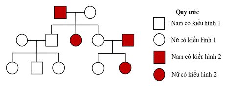 BÀI 13: DI TRUYỀN HỌC NGƯỜI VÀ DI TRUYỀN Y HỌC