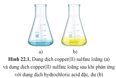 BÀI 22. SƠ LƯỢC VỀ SỰ HÌNH THÀNH PHỨC CHẤT CỦA ION KIM LOẠI CHUYỂN TIẾP TRONG DUNG DỊCH