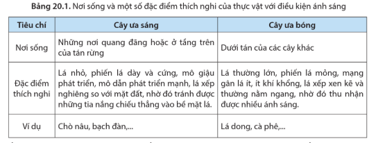 PHẦN 7. SINH THÁI HỌC VÀ MÔI TRƯỜNG