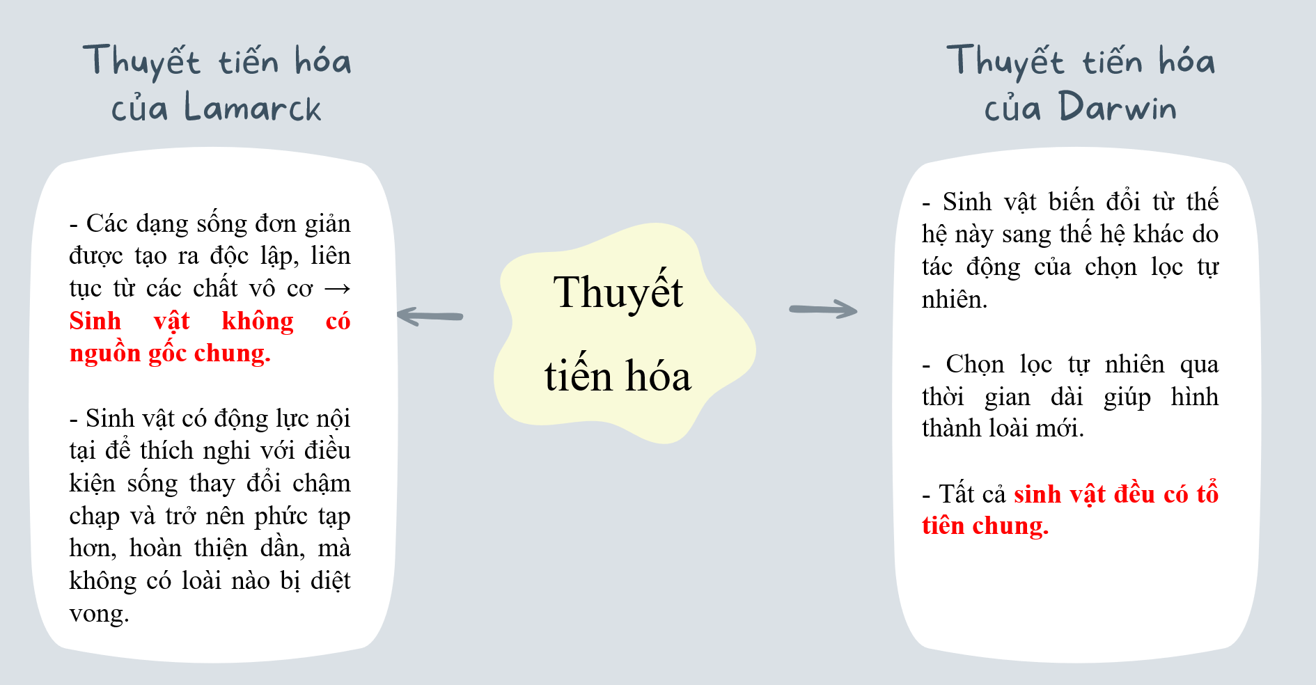 BÀI TẬP CHỦ ĐỀ 12