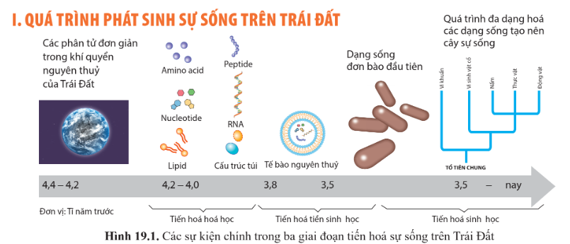 CHỦ ĐỀ 6: SỰ PHÁT SINH SỰ SỐNG TRÊN TRÁI ĐẤT