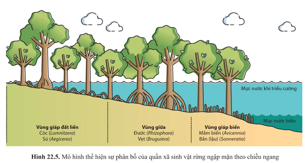 CHỦ ĐỀ 8: QUẦN XÃ SINH VẬT VÀ HỆ SINH THÁI