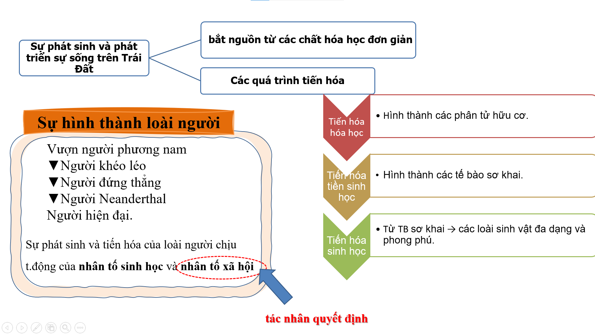 BÀI TẬP CHỦ ĐỀ 12