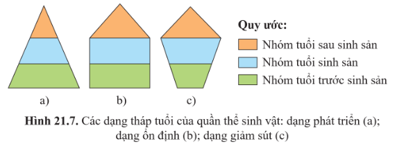 BÀI 21: SINH THÁI HỌC QUẦN THỂ