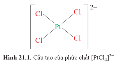 BÀI 21. SƠ LƯỢC VỀ PHỨC CHẤT