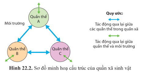 CHỦ ĐỀ 8: QUẦN XÃ SINH VẬT VÀ HỆ SINH THÁI