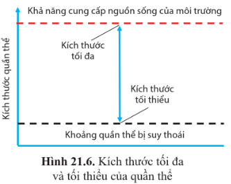 BÀI 21: SINH THÁI HỌC QUẦN THỂ