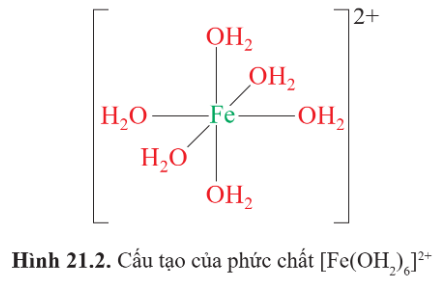 BÀI 21. SƠ LƯỢC VỀ PHỨC CHẤT