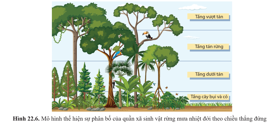 CHỦ ĐỀ 8: QUẦN XÃ SINH VẬT VÀ HỆ SINH THÁI