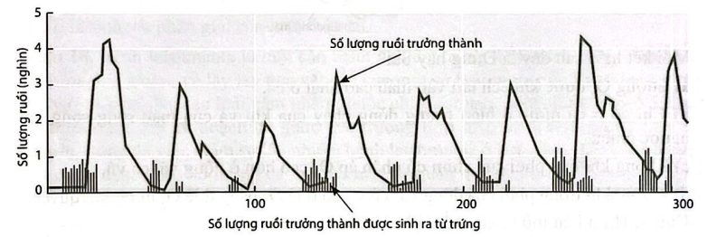 HƯỚNG DẪN CHẤM KIỂM TRA HỌC KÌ II (2024 – 2025)MÔN: SINH HỌC 12 – KẾT NỐI TRI THỨC...........................................TRƯỜNG THPT .........BẢNG NĂNG LỰC VÀ CẤP ĐỘ TƯ DUYMÔN: SINH HỌC 12 – KẾT NỐI TRI THỨCNăng lựcCấp độ tư duyPHẦN IPHẦN IIPHẦN IIIBiếtHiểuVận dụngBiếtHiểu Vận dụngBiếtHiểuVận dụng1. Nhận thức sinh học102214 21 2. Tìm hiểu thế giới sống 11281 113. Vận dụng kiến thức kĩ năng đã học 11   1  Tổng1044312132145%40%15% TRƯỜNG THPT .........BẢN ĐẶC TẢ KĨ THUẬT ĐỀ KIỂM TRA HỌC KÌ II (2024 – 2025)