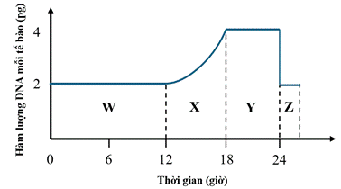 BÀI 5: NHIỄM SẮC THỂ VÀ ĐỘT BIẾN NHIỄM SẮC THỂ