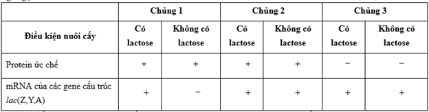  ĐIỀU HÒA BIỂU HIỆN GENE