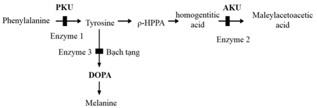 BÀI 7: DI TRUYỀN HỌC MENDEL VÀ MỞ RỘNG HỌC THUYẾT MENDEL