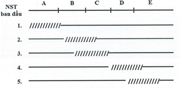 BÀI 4: HỆ GENE, ĐỘT BIẾN GENE, CÔNG NGHỆ GENE