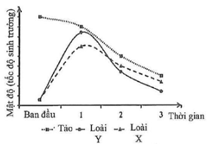  HỆ SINH THÁI