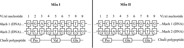 BÀI 4: HỆ GENE, ĐỘT BIẾN GENE, CÔNG NGHỆ GENE