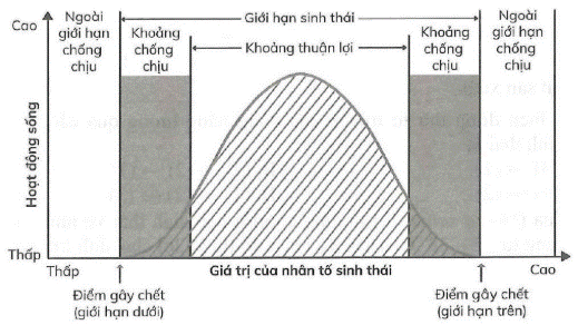 BÀI 23: MÔI TRƯỜNG VÀ CÁC NHÂN TỐ SINH THÁI