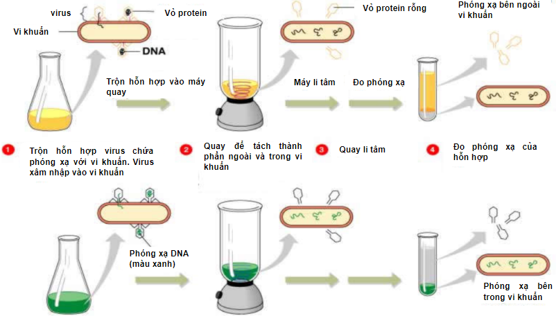  DNA VÀ CƠ CHẾ TÁI BẢN DNA