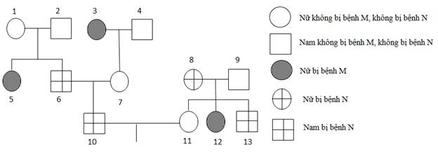 BÀI 13: DI TRUYỀN HỌC NGƯỜI VÀ DI TRUYỀN Y HỌC