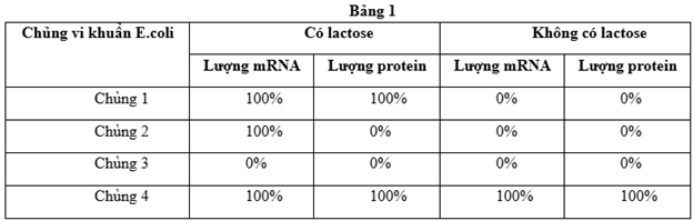  ĐIỀU HÒA BIỂU HIỆN GENE