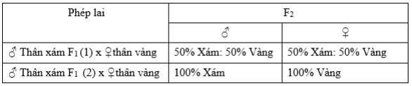  DI TRUYỀN GIỚI TÍNH VÀ DI TRUYỀN LIÊN KẾT GIỚI TÍNH