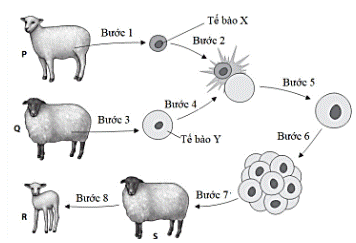  HỆ GENE, ĐỘT BIẾN GENE, CÔNG NGHỆ GENE