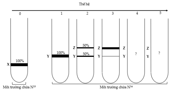  DNA VÀ CƠ CHẾ TÁI BẢN DNA